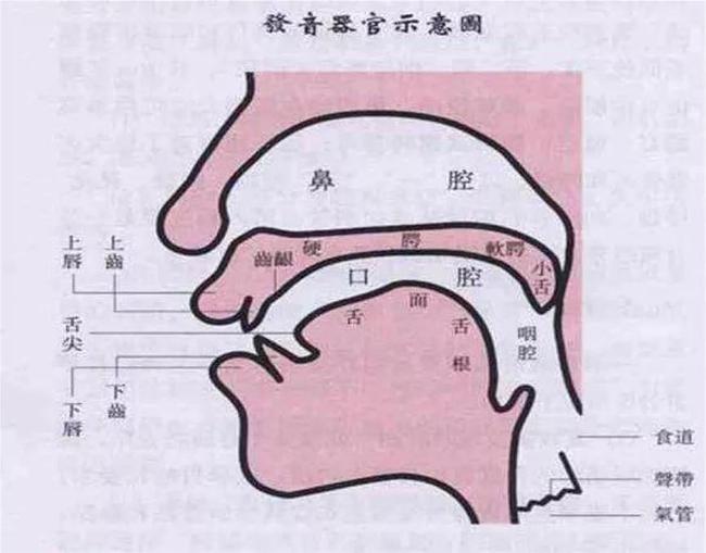 小孩發(fā)音不清楚的原因是什么？